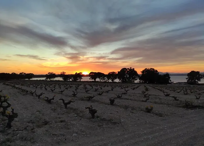 شقة Torre Zeus, La Mata, *