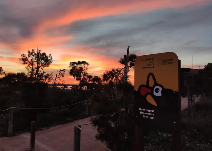 Torre Zeus, La Mata, شقة تورّيفيِخا